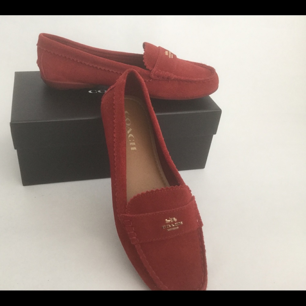 Suede shoes